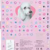 TOPModel - Geheimcode Tagebuch BLING BLING in Pink mit Pudel und Model-Aufdruck  – Bild 2