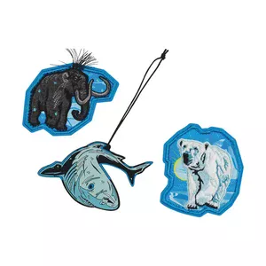 Scout Funny Snaps Move 3er Set - Polar Blue
