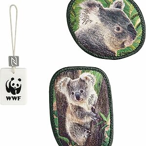 Step by Step Magic Mags WWF Little Koala