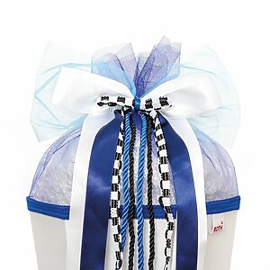 Roth Schultütenschleife Speed