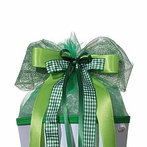 Roth Schultütenschleife LED Green Lights