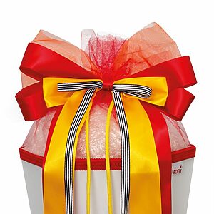 Roth Schultütenschleife Spicy Orange