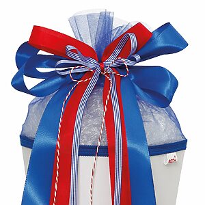 Roth Schultütenschleife Blue Berry